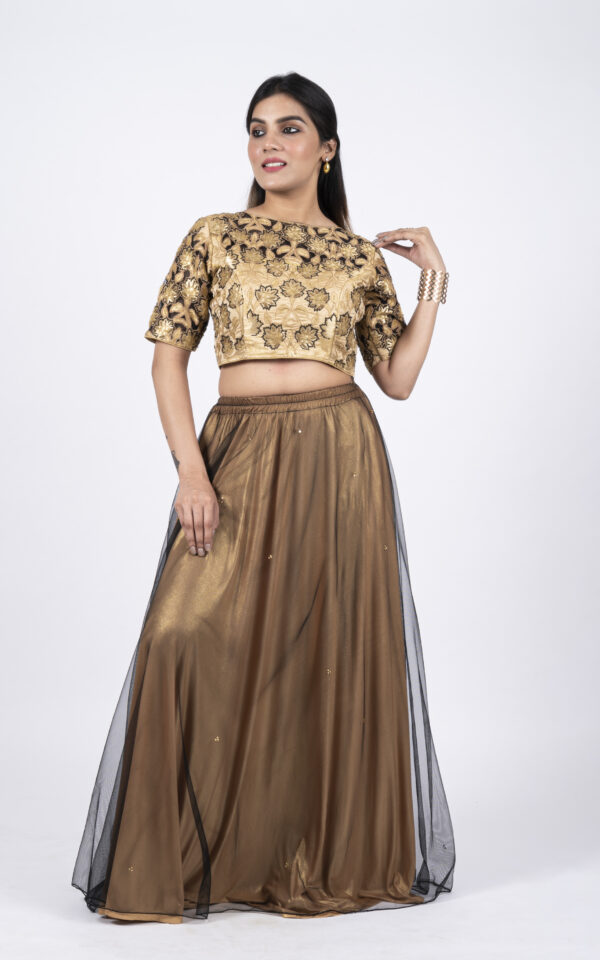 Lacha Crop Top  Set - Image 2