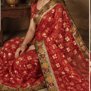 Handloom Net Saree with Banarasi Zari Borders & Floral Butti